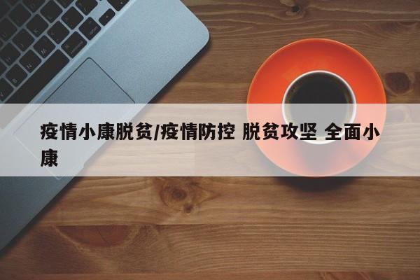 疫情小康脱贫/疫情防控 脱贫攻坚 全面小康