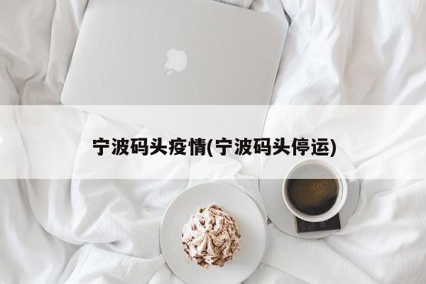 宁波码头疫情(宁波码头停运)