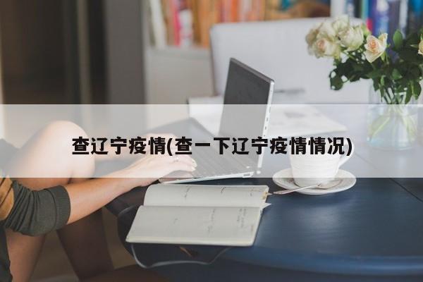 查辽宁疫情(查一下辽宁疫情情况)