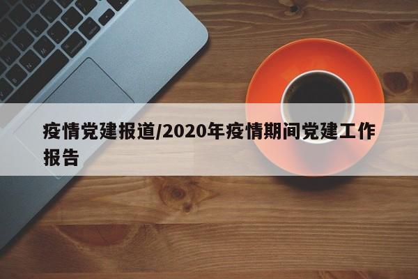 疫情党建报道/2020年疫情期间党建工作报告