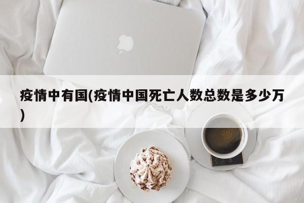 疫情中有国(疫情中国死亡人数总数是多少万)