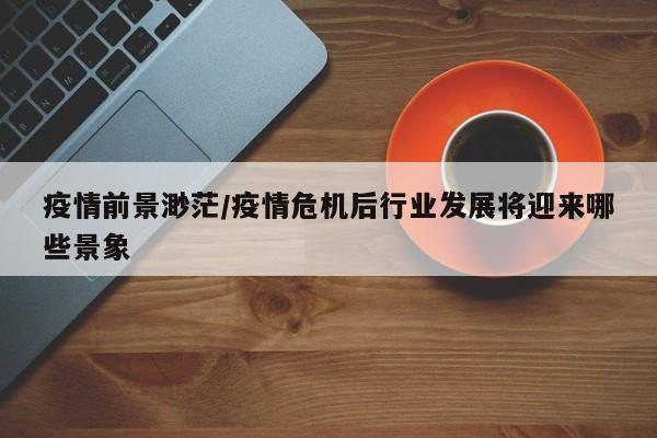 疫情前景渺茫/疫情危机后行业发展将迎来哪些景象